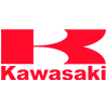 Kawasaki KFX50 2019